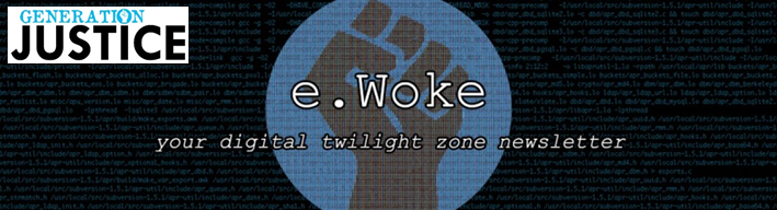 e.Woke logo